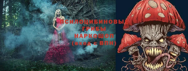 сатива Алексеевка
