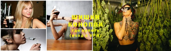 apvp Алзамай